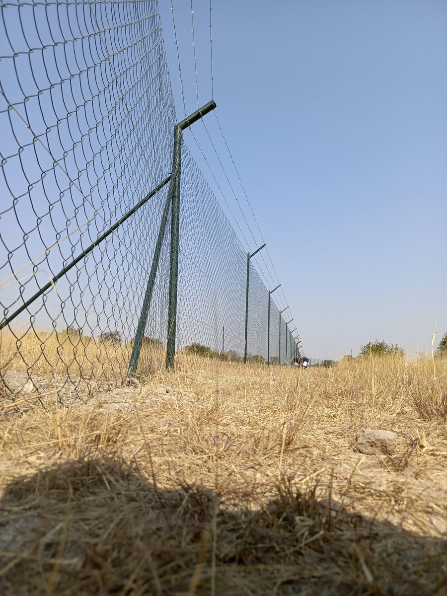 assortedsfe's tweet photo. 2.4m high Diamond Mesh including 3 strands of Barbed wire on top https://t.co/yv9iYi4QXd