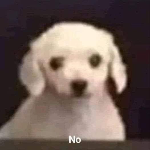 seikoraptor's tweet photo. Tengo que ver 12 horas de resubido fak https://t.co/lIcpocn8sJ
