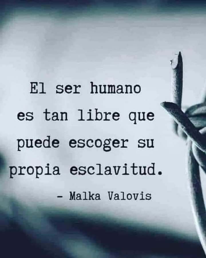 hectorlitardo's tweet photo. https://t.co/XwxWq7rBD7