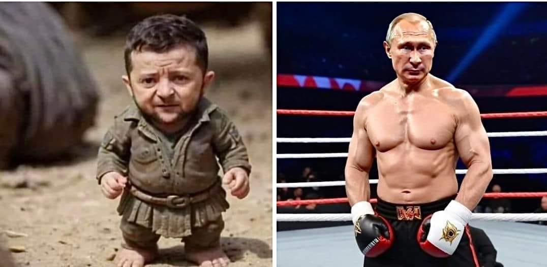 Troll VS Putin.
