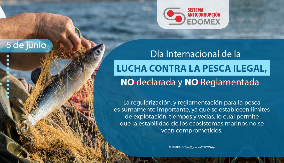 SESAEMM_'s tweet photo. #DíaInternacional de la #LuchaContraLaPescaIlegal #NoDeclarada #NoReglamentada
¡Defendamos nuestros océanos y recursos marinos con acciones responsables! 🐟🌊 https://t.co/c93BuIHxZW
