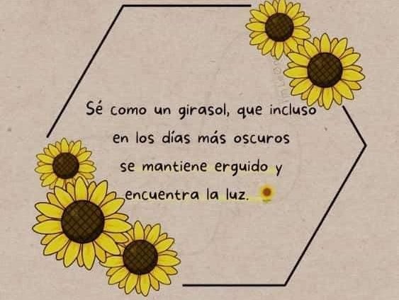 MineDiafe's tweet photo. Bonita noche. Que el ánimo no decaiga. https://t.co/GfudVYFiFN