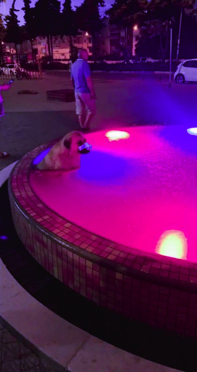 miiilato's tweet image. you look lonely…