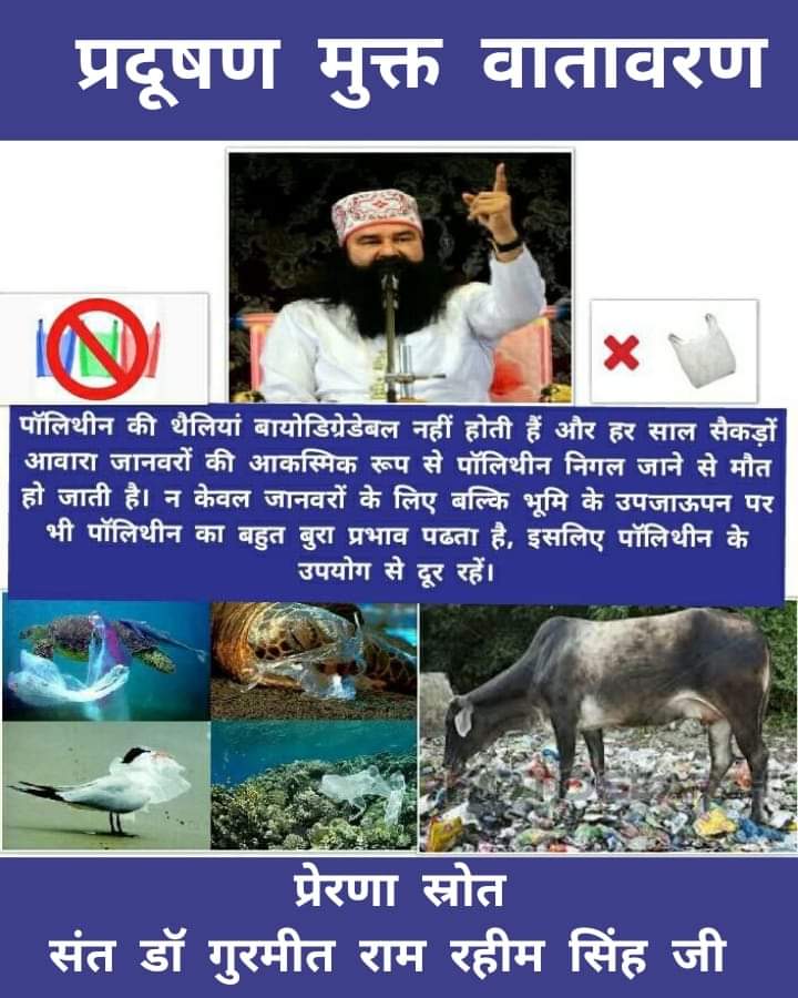 Simmi_Bhatti's tweet photo. Polythene bags are not biodegradable and every year hundreds of stray animals die by accidentally swallowing polythene. So Saint MSG has inspired people to stop using polythene bags and use cloth bags to stop environmental pollution.
#WorldEnvironmentDay
#WorldEnvironmentDay2024 https://t.co/DfKkmxBPYL