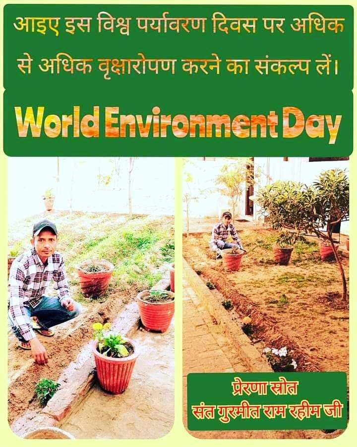 vicky22mansa's tweet photo. Trees are the ornaments of our environment which not only make it beautiful but also keep it clean. Following the inspiration of Saint MSG, the followers of Dera Sacha Sauda celebrate their special days by planting trees. #WorldEnvironmentDay
#WorldEnvironmentDay2024 https://t.co/Jg4nefLTbm