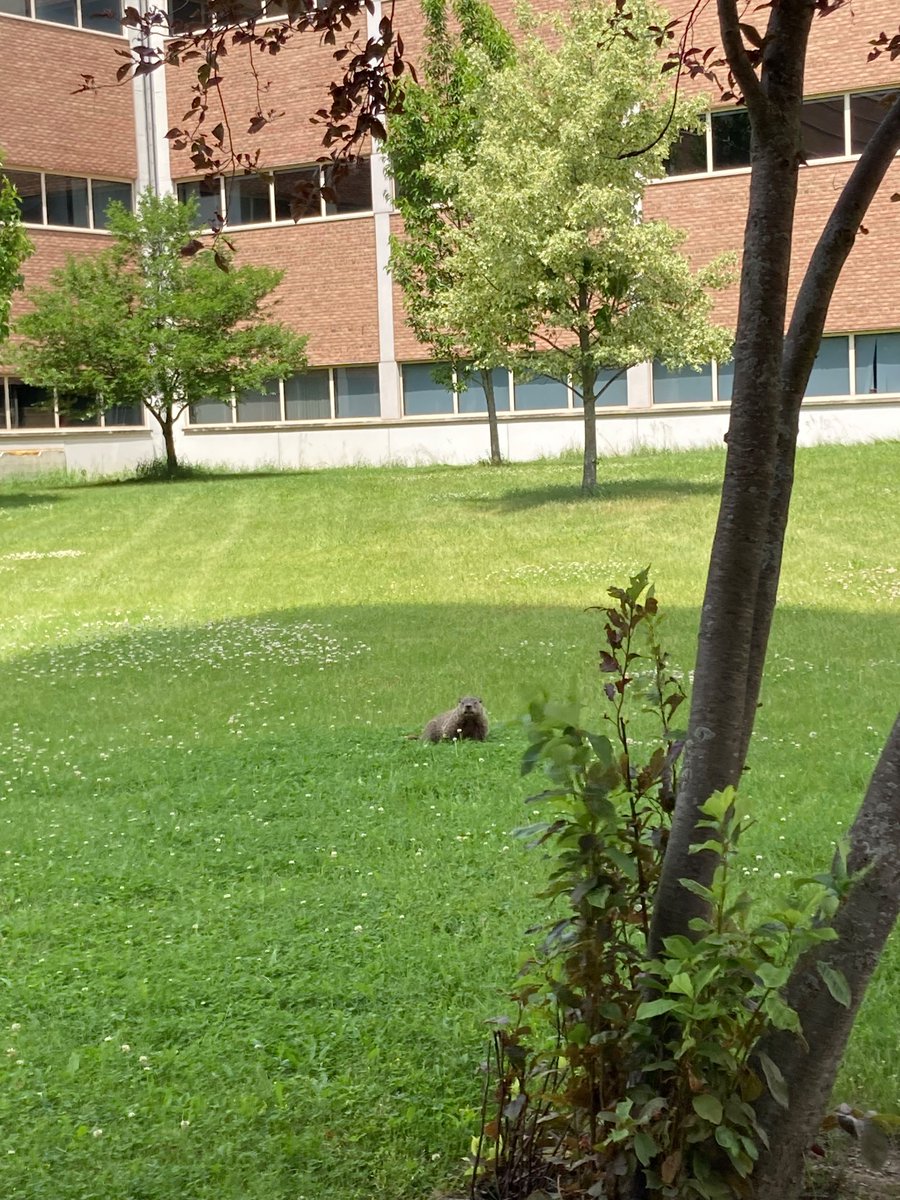 He is watching all y’all!