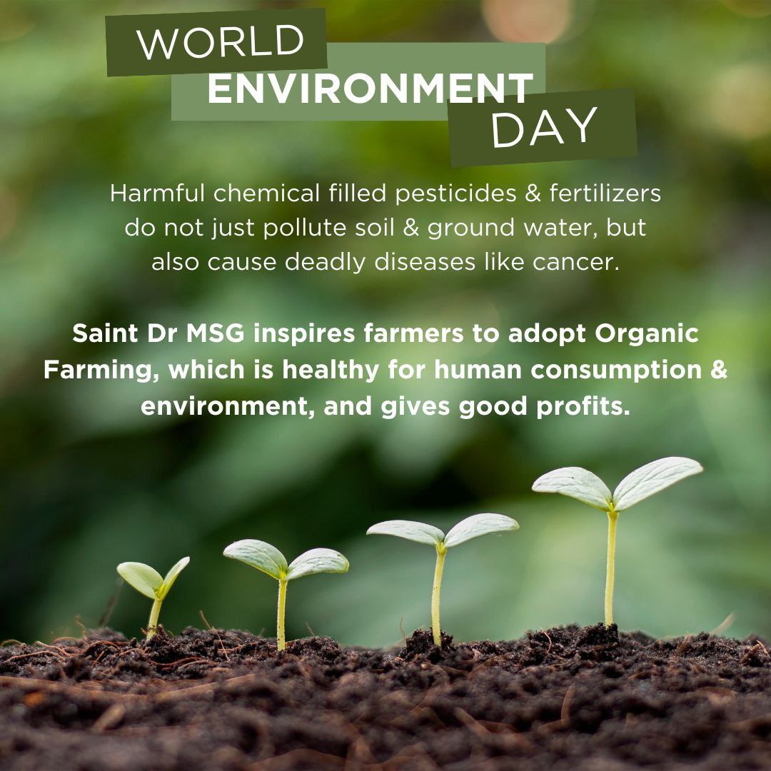 Vishu Insan tweet media