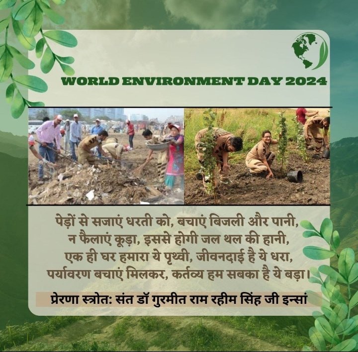 SaPnA (R.s) tweet media