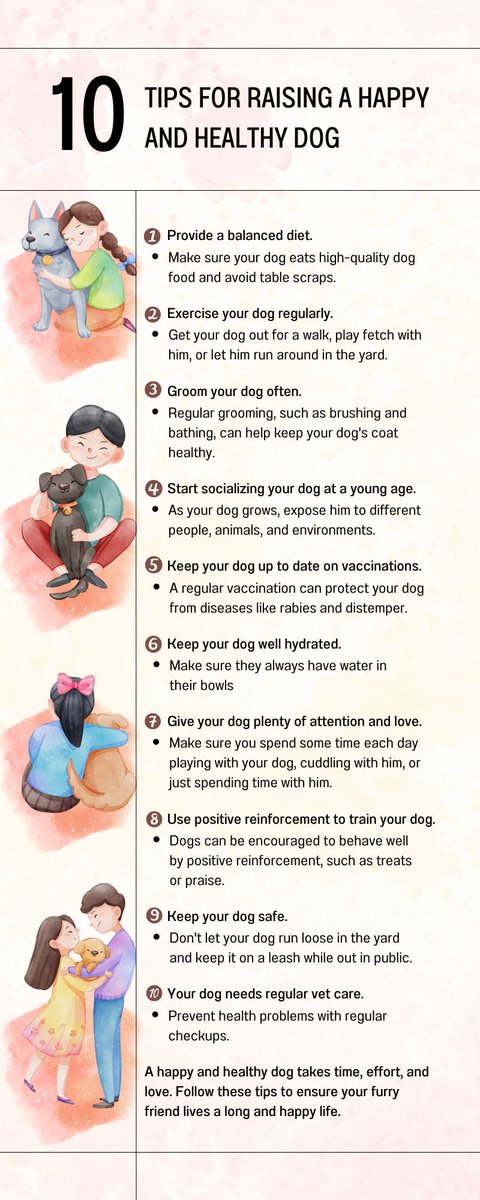 _bluesclues49's tweet photo. This is an infographic that talks about how to care for your dog #UCanimals https://t.co/XilQOptPUA