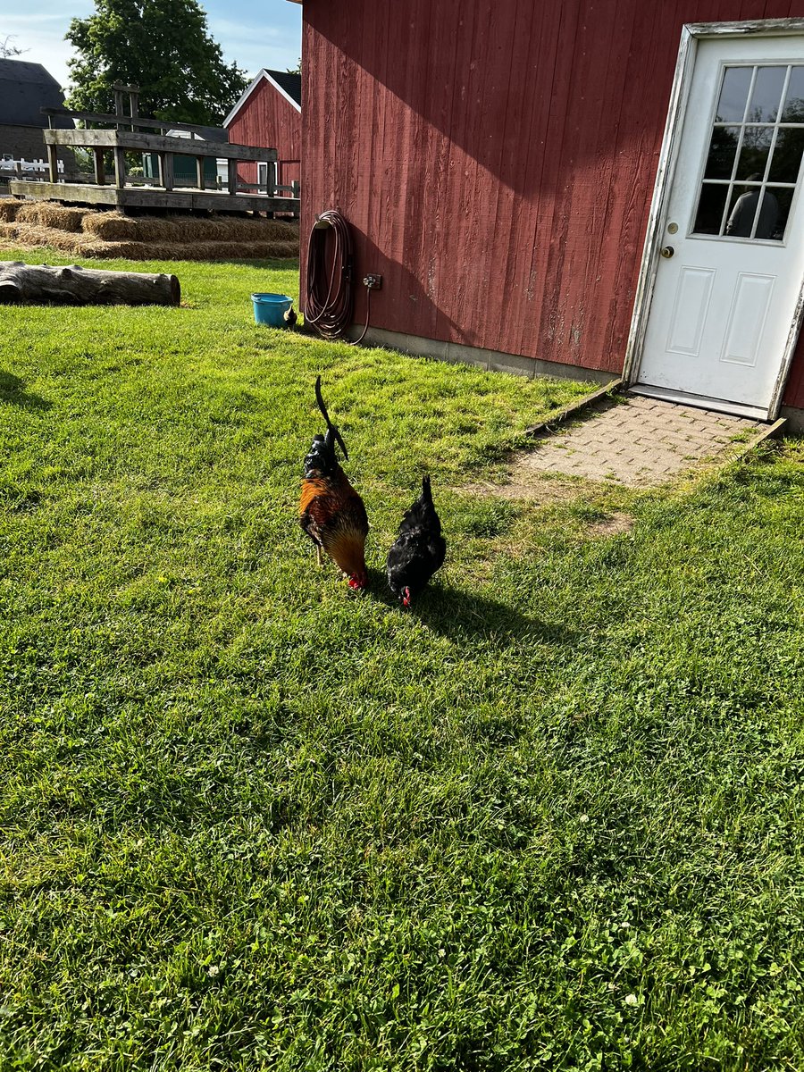 Last Wemoco meeting of the year. Counselors got a tour of the current location for the Agriculture and Heavy Equipment program. They are both located at Springdale Farms in Ogden. The Ag program is new to Wemoco this year and is rapidly expanding.