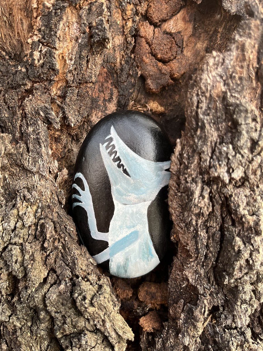 ZHEbuzz's tweet photo. 42: #TheWolfSuit by #SidSharp.  Hidden in the bark of some scary trees as of 7:39 PM 06/04/24.  #rockart  #paintedrock #readingrocks #rockart #katytx #rockhunt #summerreading #childhood #kindnessrocks #trees #fear #beyourself https://t.co/wvU0L8gQQm