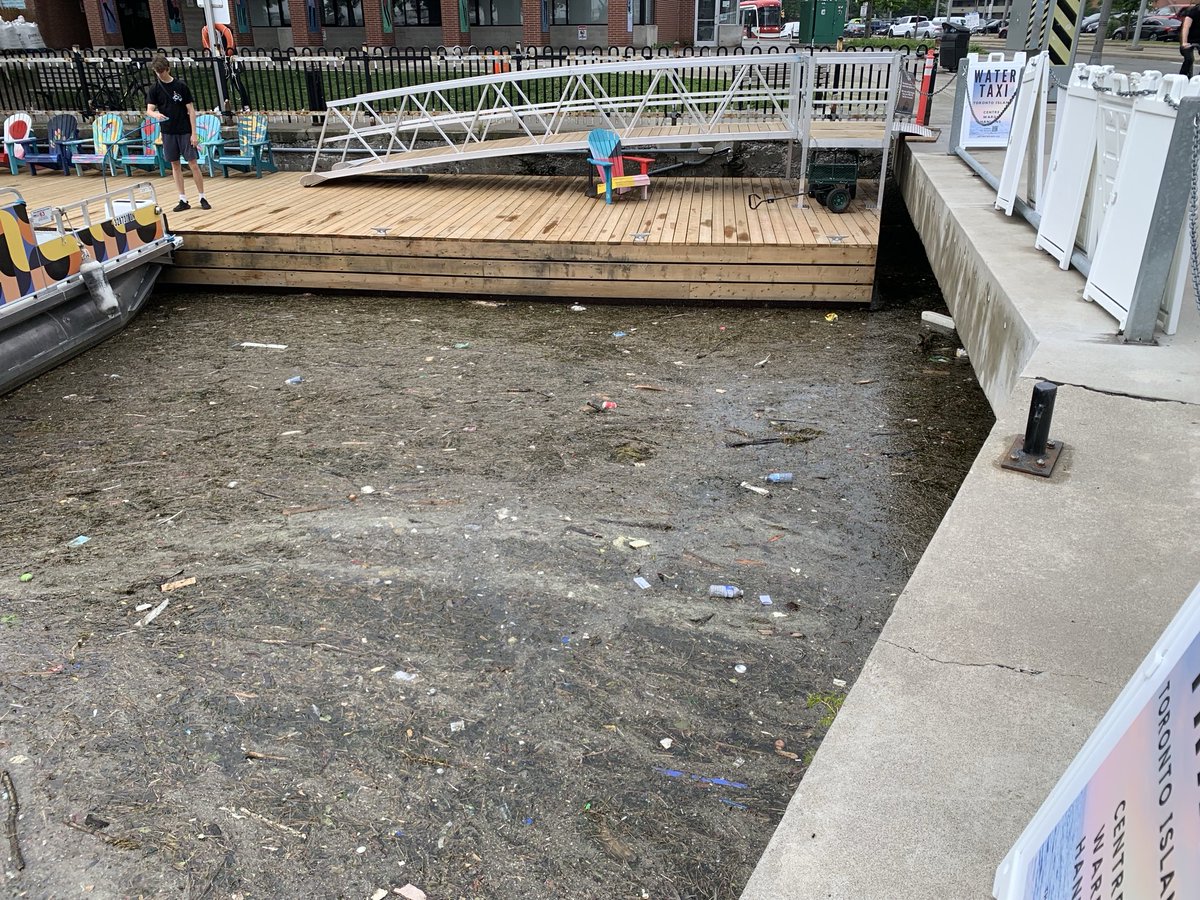 Mark Mattson tweet media