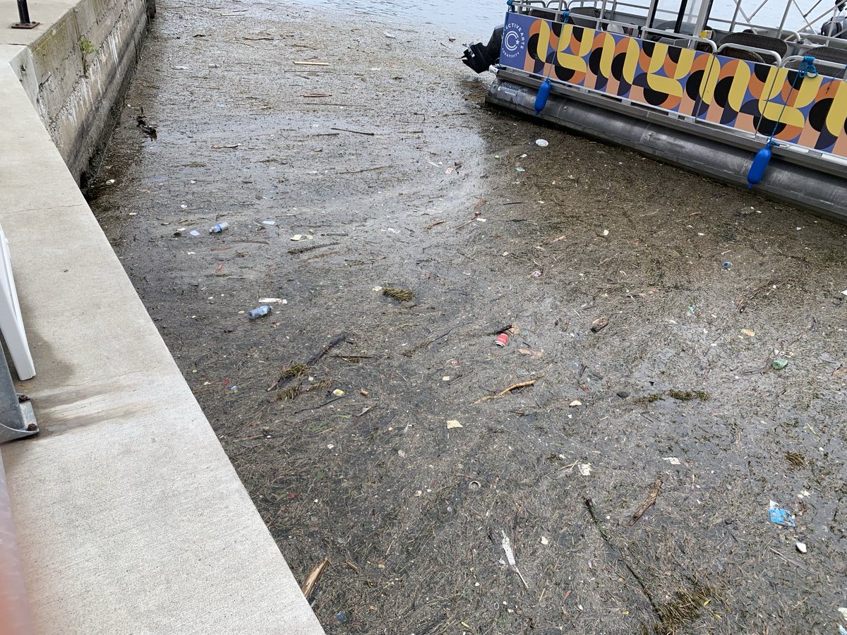 Mark Mattson tweet media