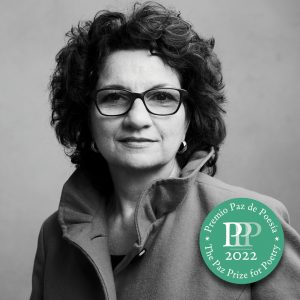 Seattle Escribe tweet media