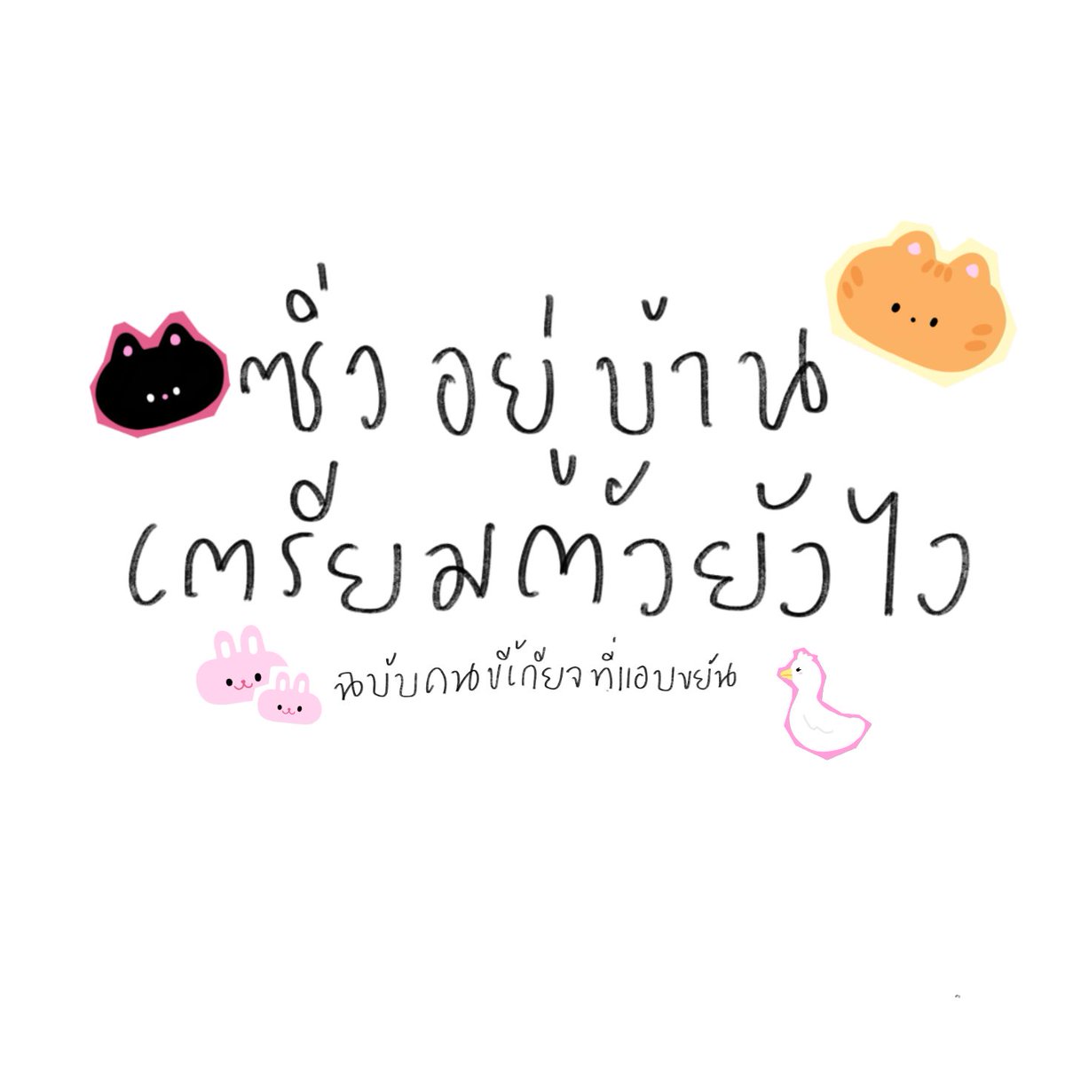 พะแนง🪄 tweet media