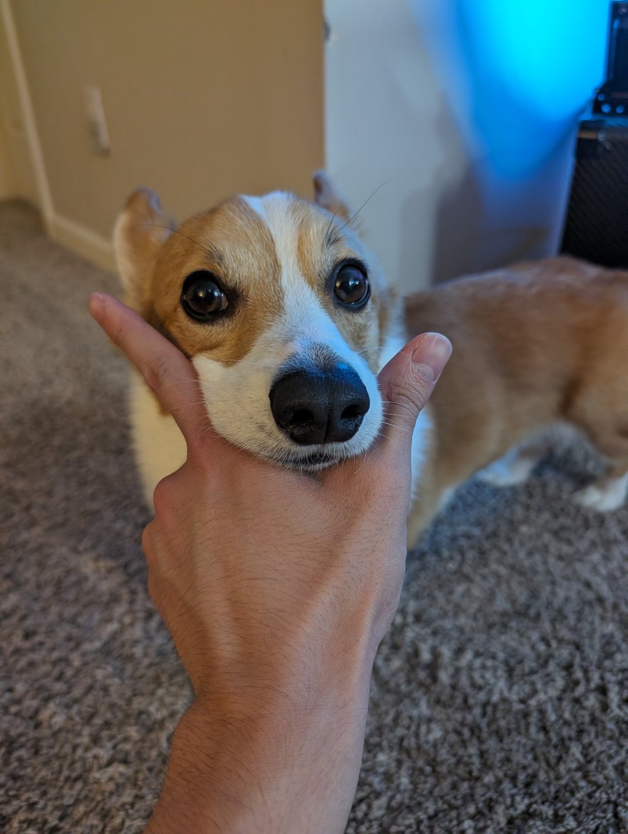 Streaming on schedule?? Can't be us! Live now!
