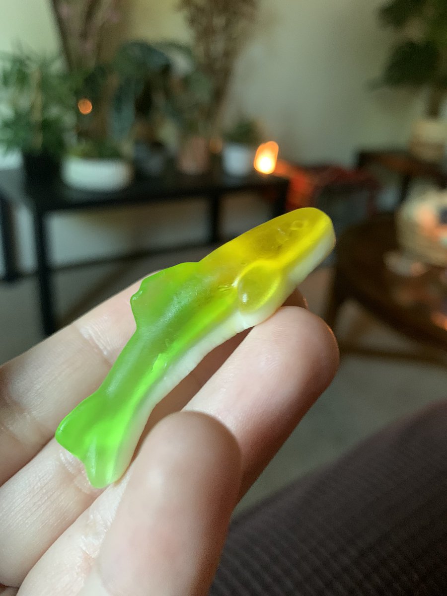 CrawlyCriiter's tweet photo. Gummi Goo but he is a shark 💛🐊

#theamazingdigitalcircus #tadc #Gummigoo https://t.co/26NZnH5jDl