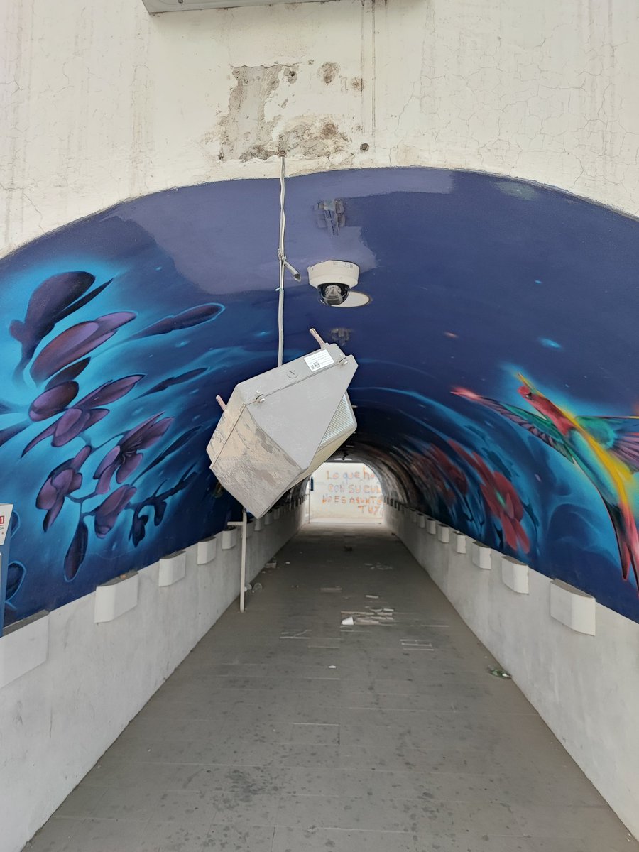 ozkrmndz30's tweet photo. @qromunicipio El paso a desnivel frente a El Refugio (el que lleva a HEB) está tremendamente descuidado. Nadie lo limpia, lleva semanas con una luminaria caída y terriblemente grafiteado. https://t.co/iNyNtax0J5