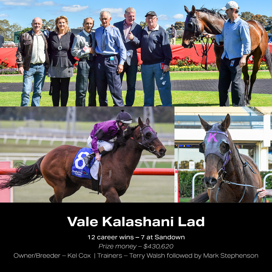 Today, we remember one of Sandown's most successful runners.

The Vale Kalashani Lad (1:35pm) honours the seven-time Sandown winner with a race named in his honour.