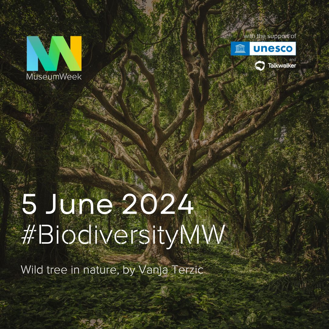 MuseumWeek's tweet photo. It's the end of #ArtificialIntelligenceMW 🤖 day, let's meet tomorrow for #BiodiversityMW, which coincides with #WorldEnvironmentDay 🌿 https://t.co/eiYuRQldPU