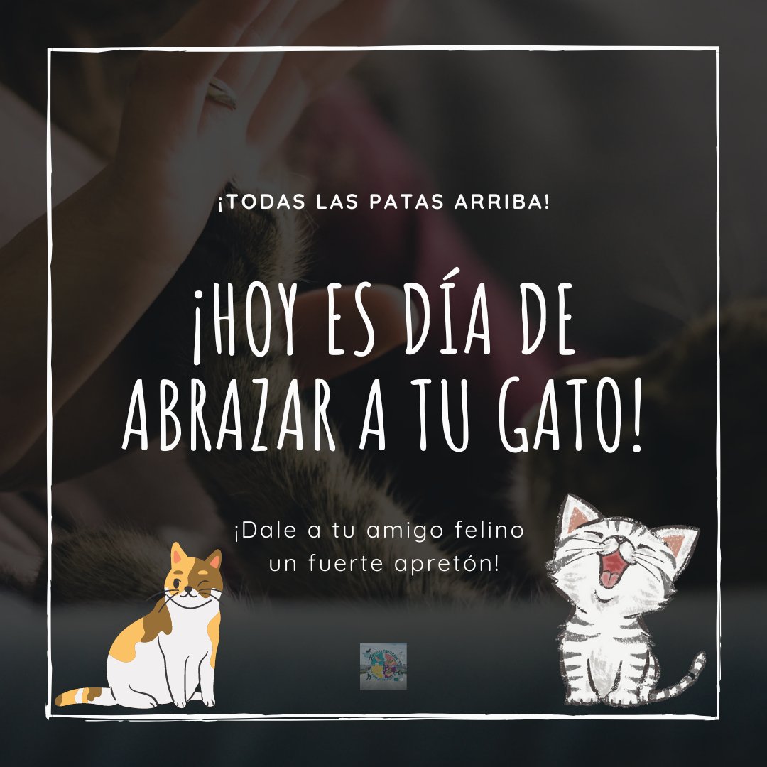 Día de abrazar a tu gato