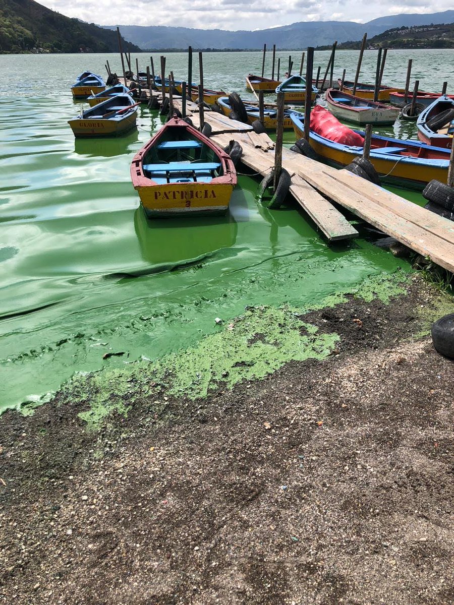 Vicpalala's tweet image. 17 años postergando la instalación de plantas de tratamiento, las excusas han sobrado, el compromiso ha sido mínimo.

Compartamos fotos de nuestros lagos y ríos, quizás logramos hacer conciencia en los alcaldes, especialmente en @sebastiansiero, y retire el recurso interpuesto.