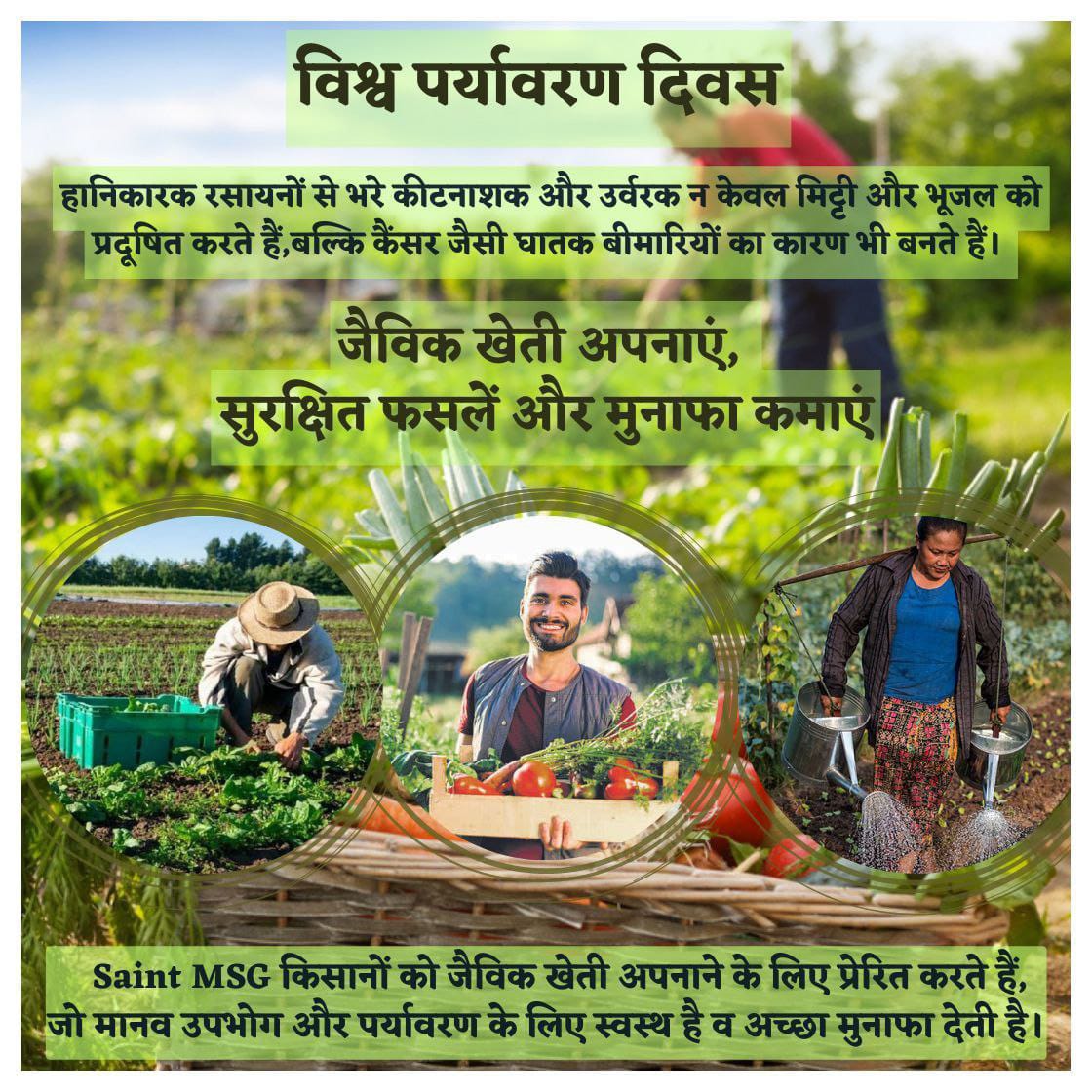 Soma007891's tweet photo. अगर हर व्यक्ति एक पौधा लगाए, तो हमारा पर्यावरण समृद्ध और स्वस्थ बन सकता है। आइए, इस मुहिम में शामिल हों। #WorldEnvironmentDay2024 #OnePersonOneTree https://t.co/Q5yrcReNki
