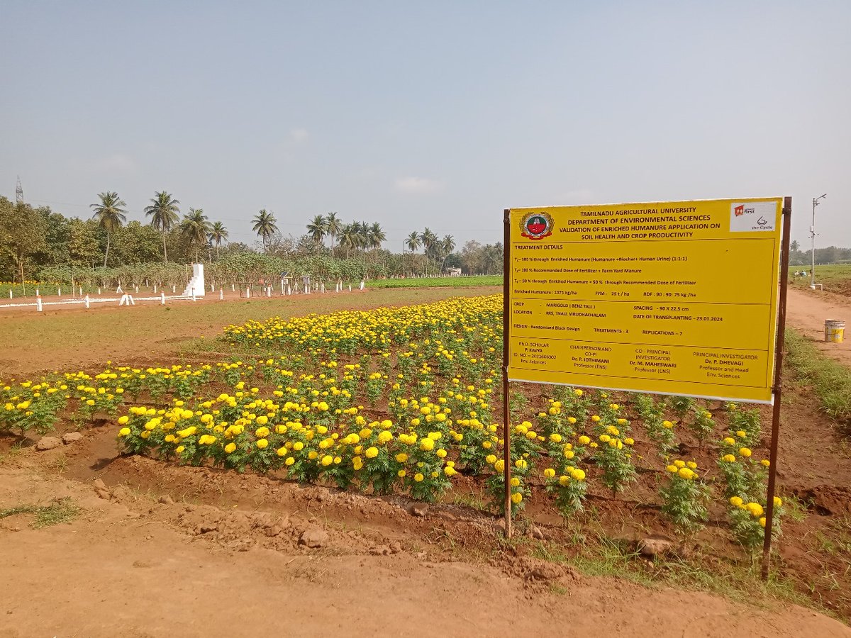 Happy #WorldEnvironmentDay! 🌍 At <a href="/SanFirstIndia/">Sanitation First India</a> &amp; <a href="/TheCycleINGO/">The Cycle (INGO)</a>, we help reclaim land for its original use by turning waste X valuable resources with:
🚽 Ecosan toilets enriching soil 
🌸 Happy Periods reducing landfill waste 
♻️ Biochar, compost &amp; urine as inputs for farmers