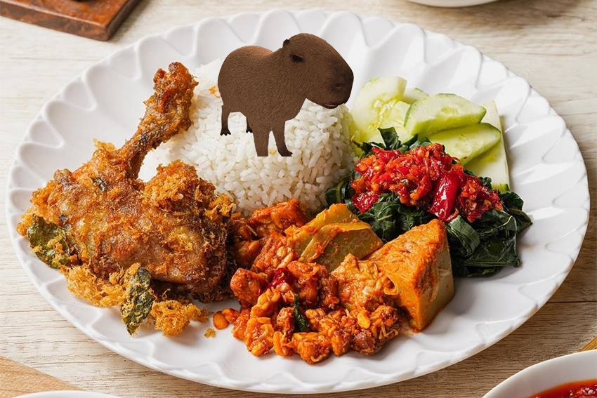 Best food for your body

$MASBRO 💤