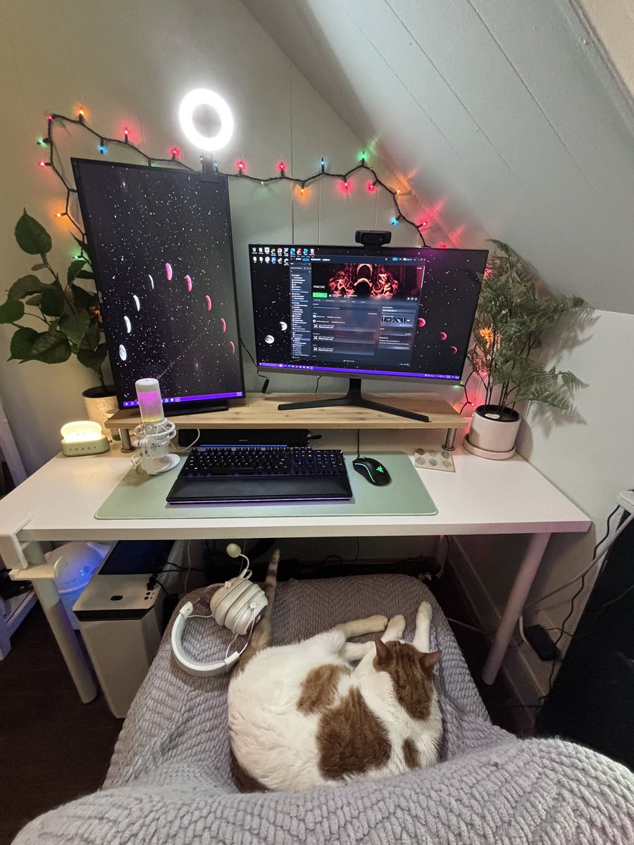 karlllllie's tweet photo. https://t.co/GHdaAzF0YJ Streaming spooky games with @cherryfangss come watch us ❤️ https://t.co/uFcW8FGuHb
