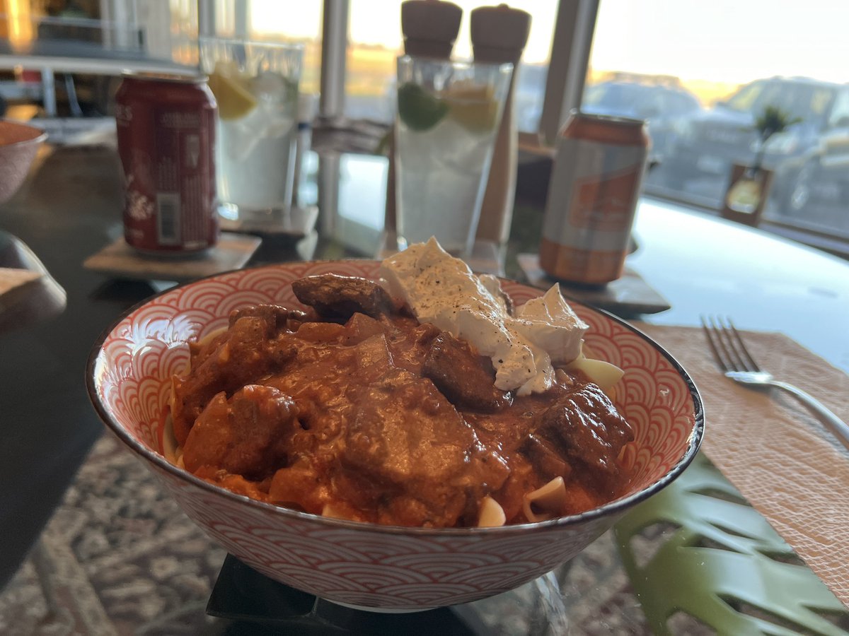 Homemade Brazilian Beef Stroganoff with the Puppy!