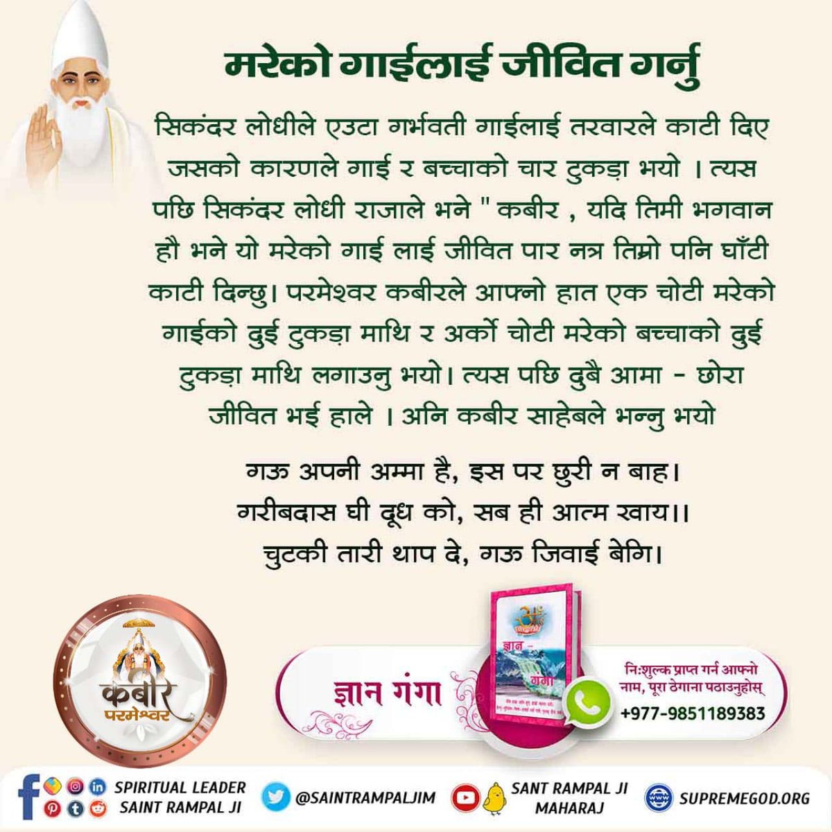 #कबीर_साहेबको_समर्थता 
मृतक गाईलाई जीवित पारेर कबीर साहेबले मुस्लिम राजा सहित प्रजालाई सम्झाउनु भयो कि गाई आफ्नू आमाको समान हो जस्को हामीले दूध पिउछौं ।
God Kabir Prakat Diwas 22June