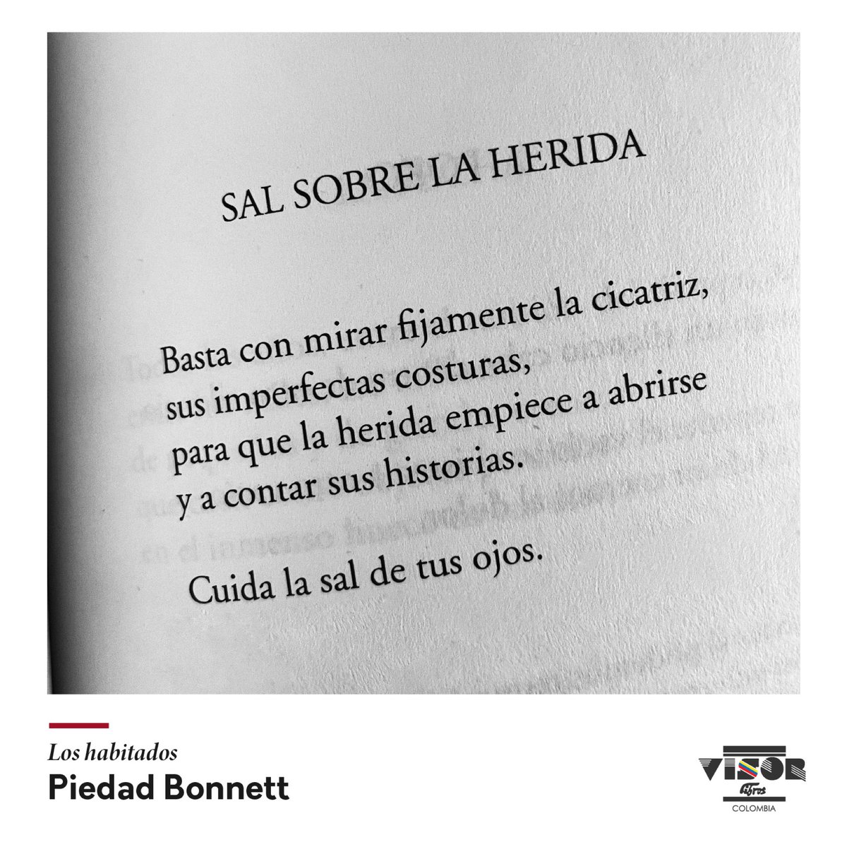 visorlibrosco's tweet photo. #PoetasVisor Piedad Bonnet es premio Reina Sofía de Poesía Iberoamericana. 

Para el jurado, “su poesía muestra una trayectoria sólida y orgánica, con gran coherencia en su obra
poética” 

#premiodepoesia #poesía #poesíavisor #PiedadBonnett #Lasherencias #premioreinasofía https://t.co/xevCp8yVll