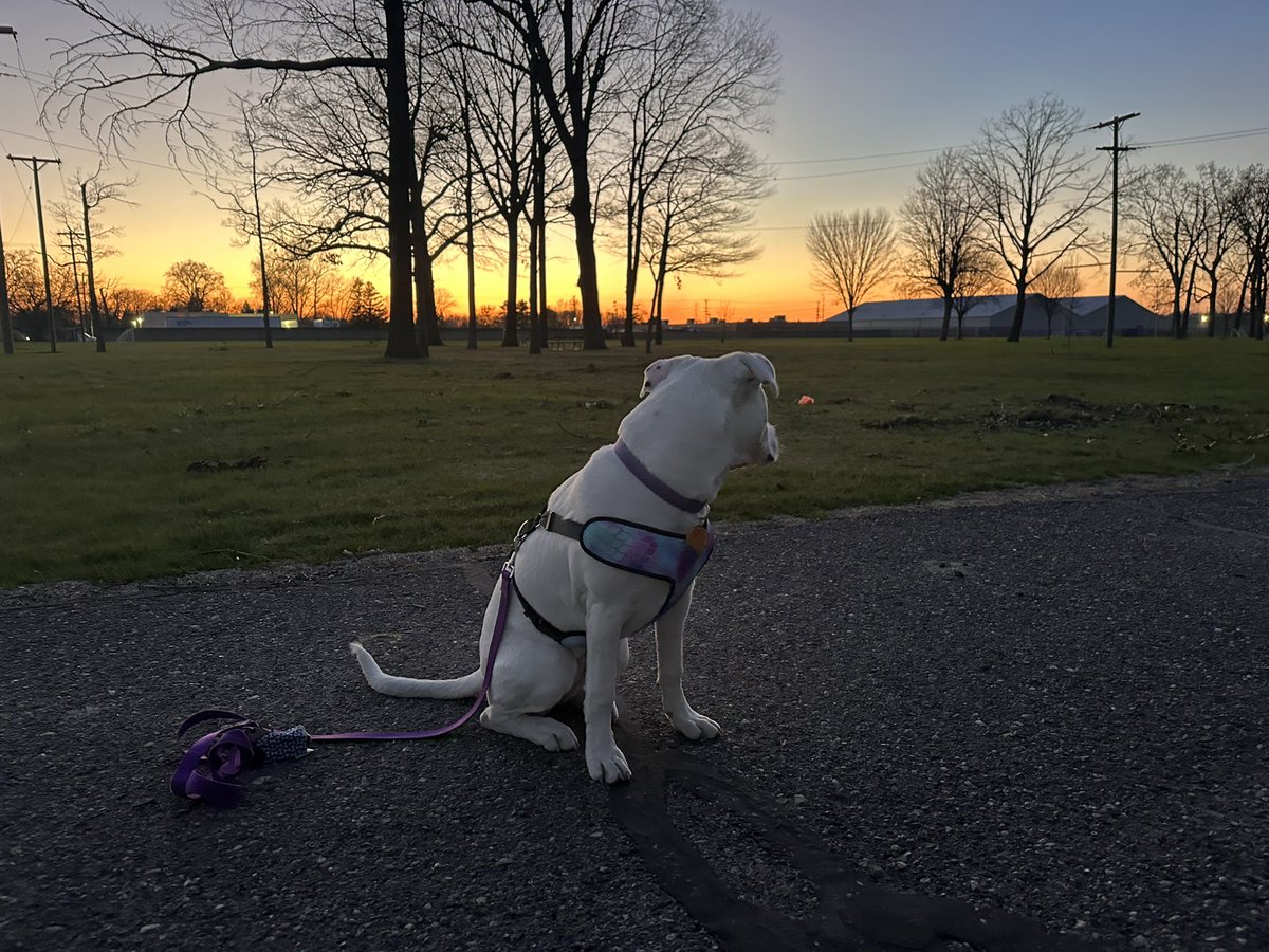 Monica_Clutter's tweet photo. Sunset chasing again🥰 she looks better in front of them 😂 https://t.co/5c0d9KkFPo