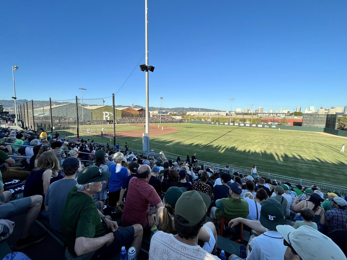 Sarah Fine tweet media