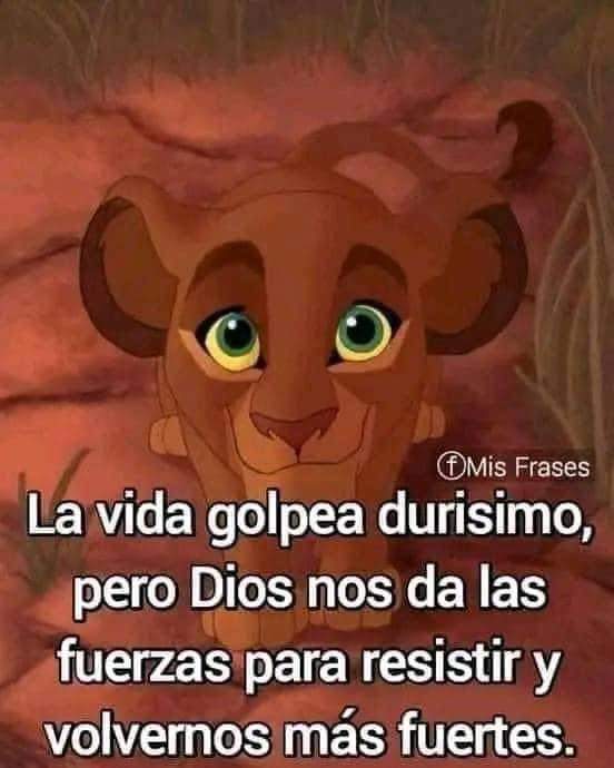 Leticia Aguilar (@pleticiaam) on Twitter photo 