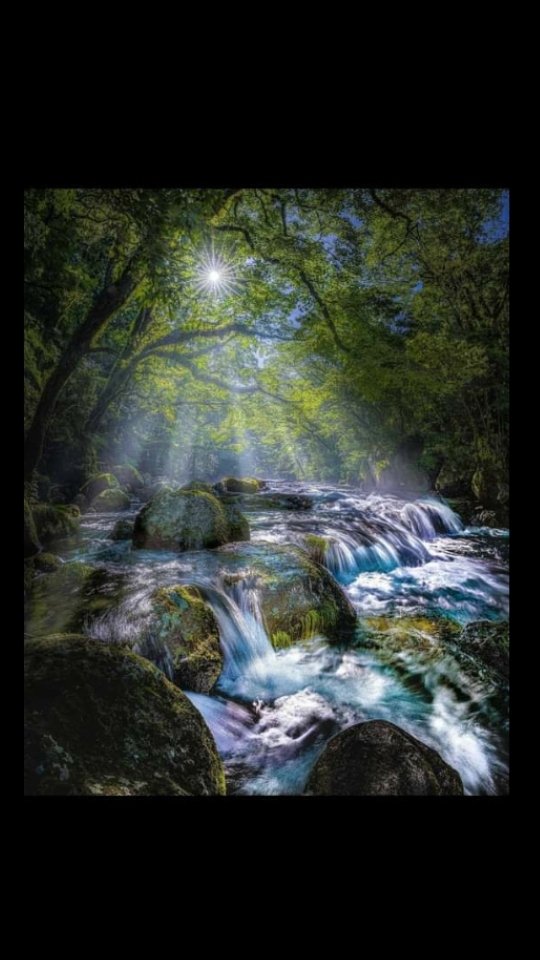 في هذا الفجر.... 
اللهم ألقي علينا محبتك لنكون سعداء... و ألقي علينا رضاك لنكون أتقياء... و أكتب لنا القبول في الأرض و السماء... اللهم إجعلنا ممن تواضع لك فرفعته و أقبل تائبًا فقبلته و تقرب إليك فهديته و دعاك صادقًا فأجبته و سألك سؤاله فأعطيته وسترت ذنبه و غفرته و برحمتك شملته...