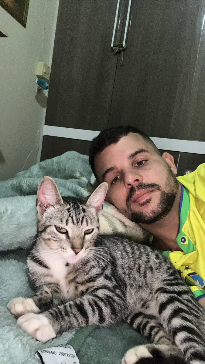 RJnetinho's tweet photo. @whindersson Meu gato pediu pra você responder na DM 

EFEITO BORBOLETA https://t.co/5edADiqVRj