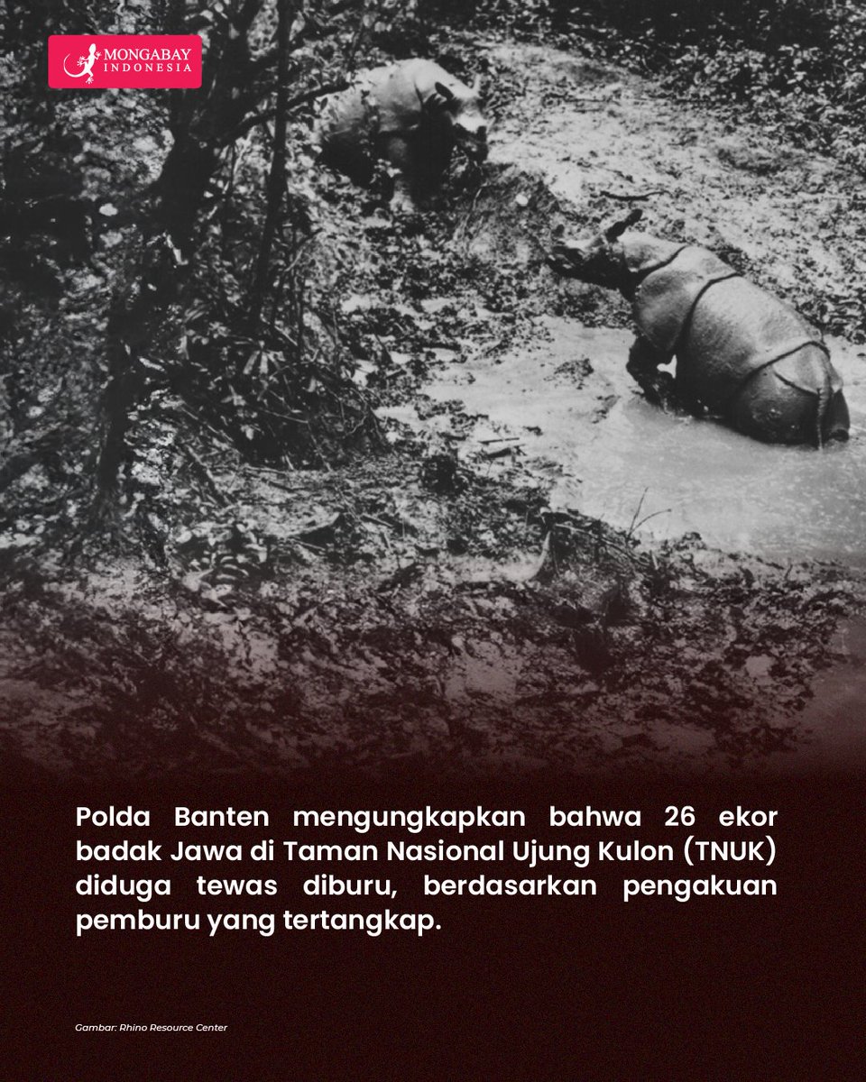 Informasi ini baru diketahui setelah penangkapan lima dari total 13 pelaku, sementara delapan lainnya masih dalam pengejaran.