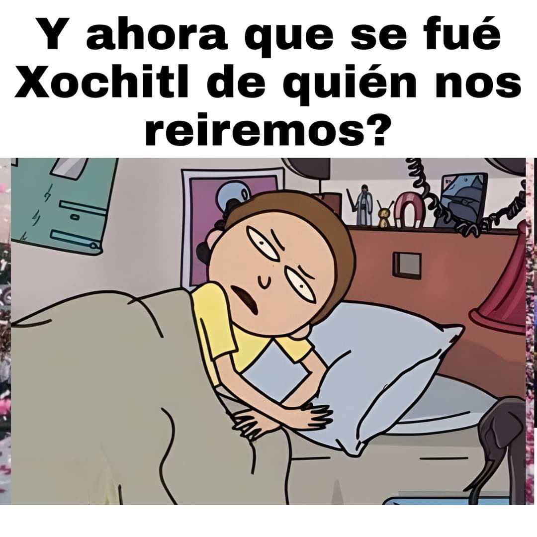 ClaudiaBenassin's tweet image. #EleccionesMéxico2024 #Elecciones2024México #menes