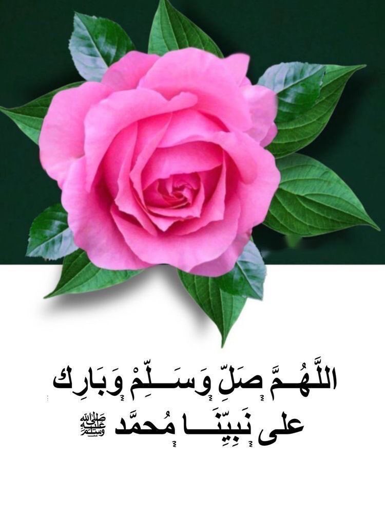 as_22234's tweet image. صَلواّ عَلى من أشرَق الْكَوْن بنورِه ﷺ 💕🌸