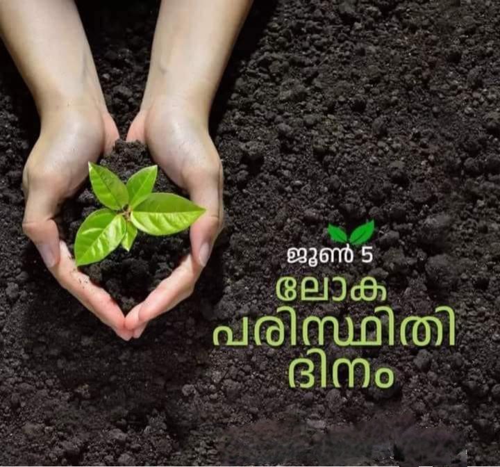 athithara's tweet image. &quot; നമ്മുടെ ഭൂമി. നമ്മുടെ ഭാവി. 
നമ്മൾ പുനഃസ്ഥാപനത്തിന്റെ തലമുറ &quot;

ഏവർക്കും പരിസ്ഥിതി ദിനാശംസകൾ  💚

 #HarithaKeralam #environment #greenprotocol #June5th
