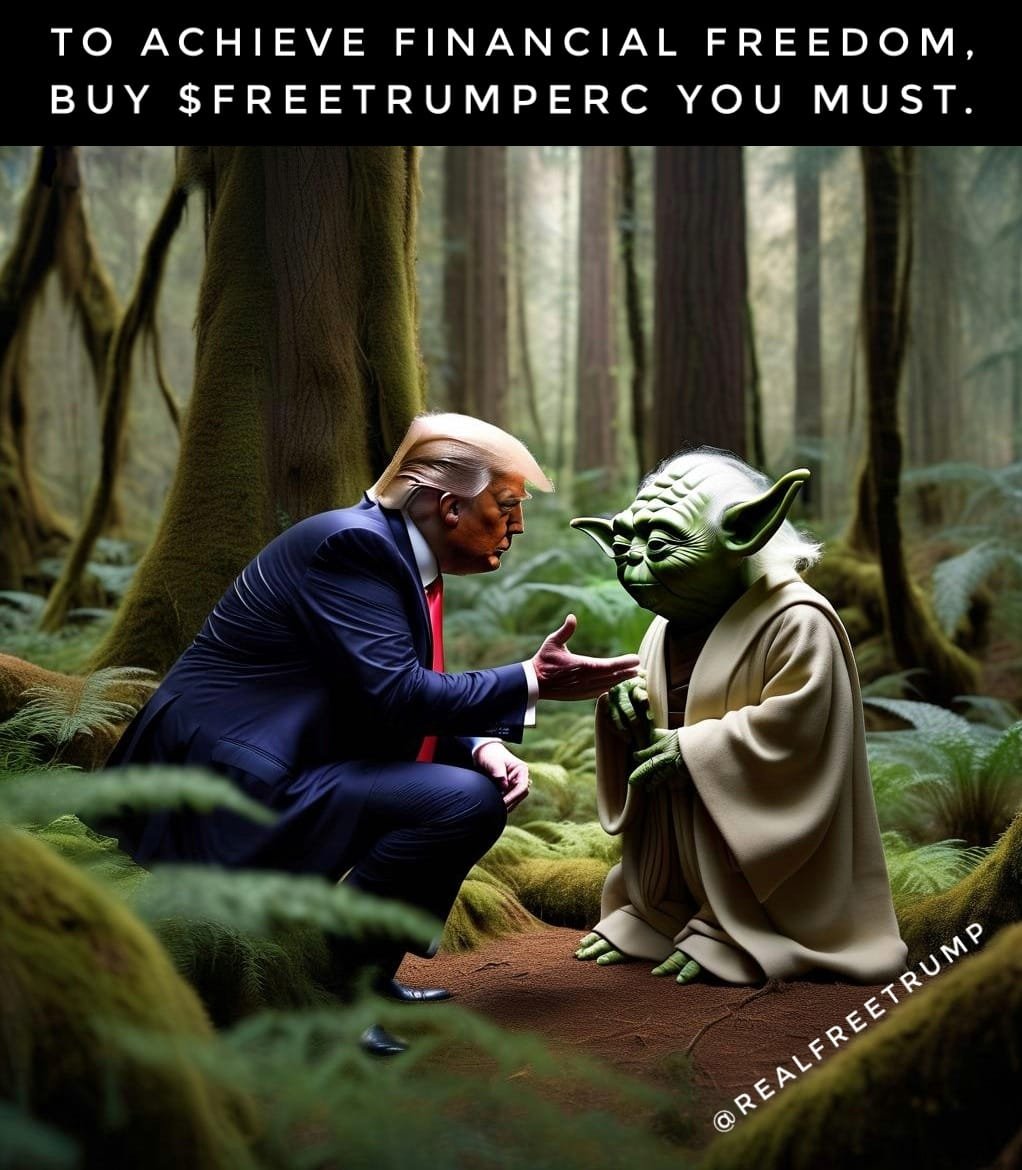 PetrAleph's tweet photo. $FREETRUMP holders have a Jedi mindset  @realFreeTrump is doing serious business. In the name of freedom we shall fight. 

#maga #freetrump #financialfreedom #jedimindset https://t.co/GXOsejfa3Z