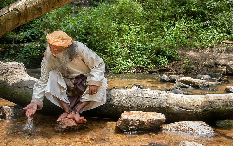 Taking care of the environment is not an obligation – our environment is our life. #WorldEnvionmentDay #SadhguruQuotes