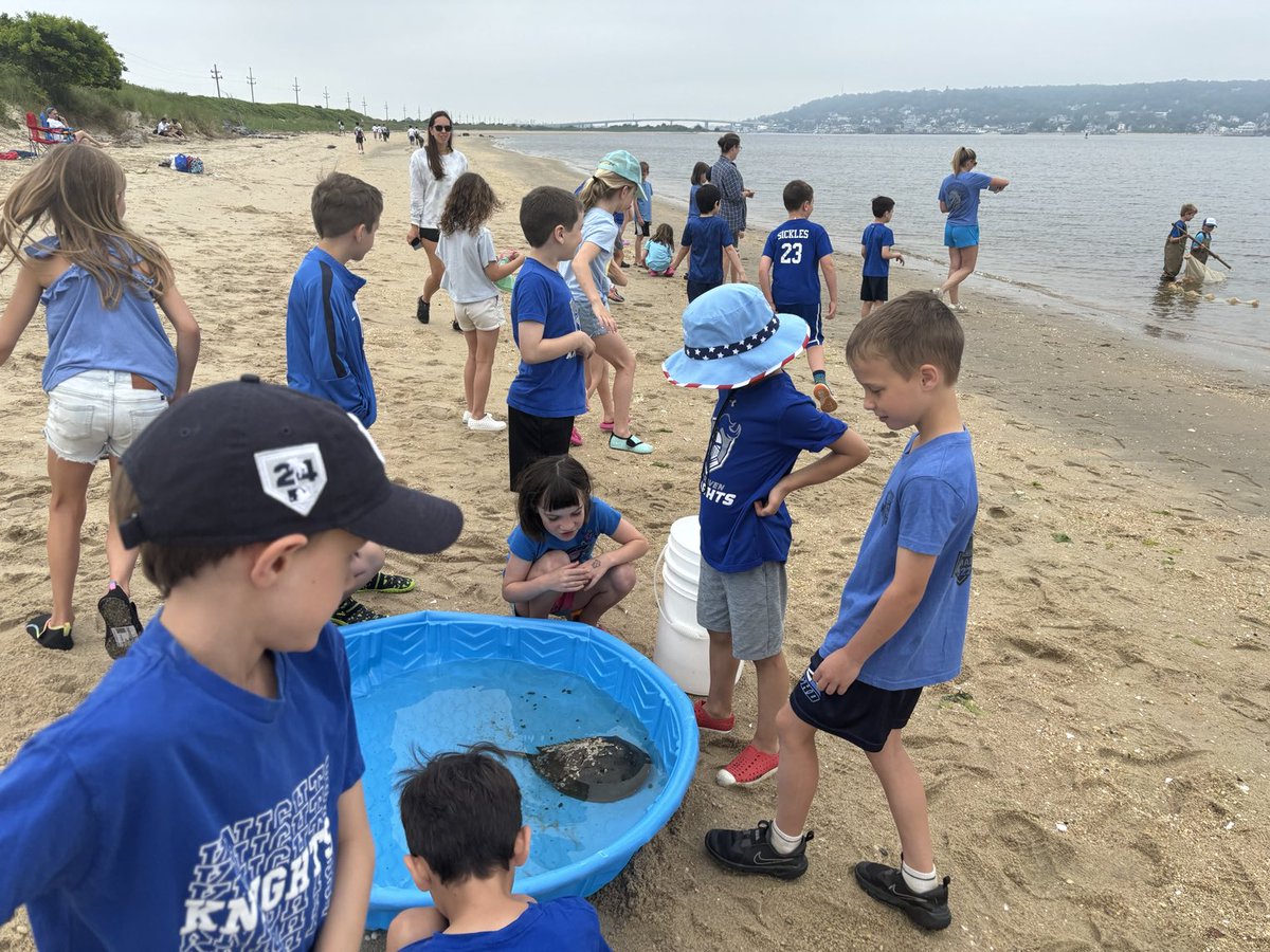 2ndGradeSickles tweet media