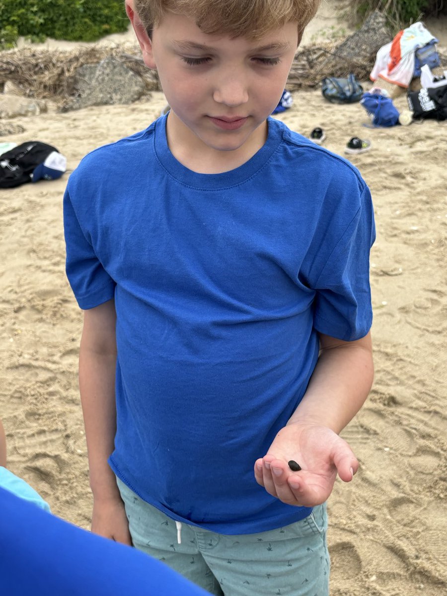 2ndGradeSickles tweet media