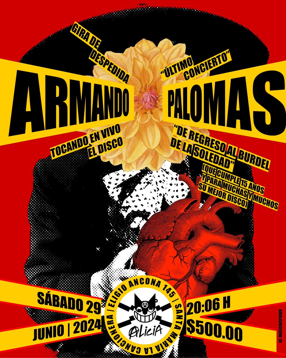 Los Sonidos Del Alicia tweet media