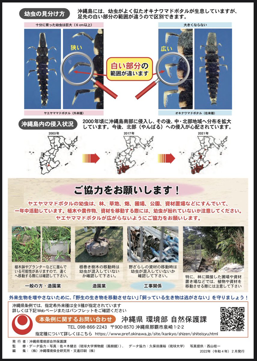 沖縄島に移入されたヤエヤママドボタルによる在来陸産貝類の捕食は極めて深刻です。昨年11月の県RDB調査の際、侵入地とされる場所へ行ってみましたが、駆除が試みられたものの貝類は見当たらず手遅れのようでした。沖縄県の啓発ポスターを挙げておきます。下記もご覧下さい：
pref.okinawa.jp/_res/projects/…