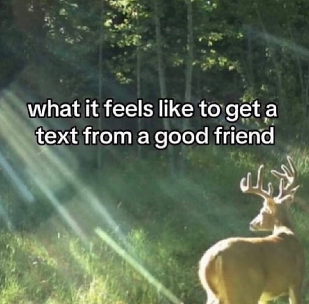 🕐HOURLY🕑 shitpost (@hourly_shitpost) on Twitter photo 