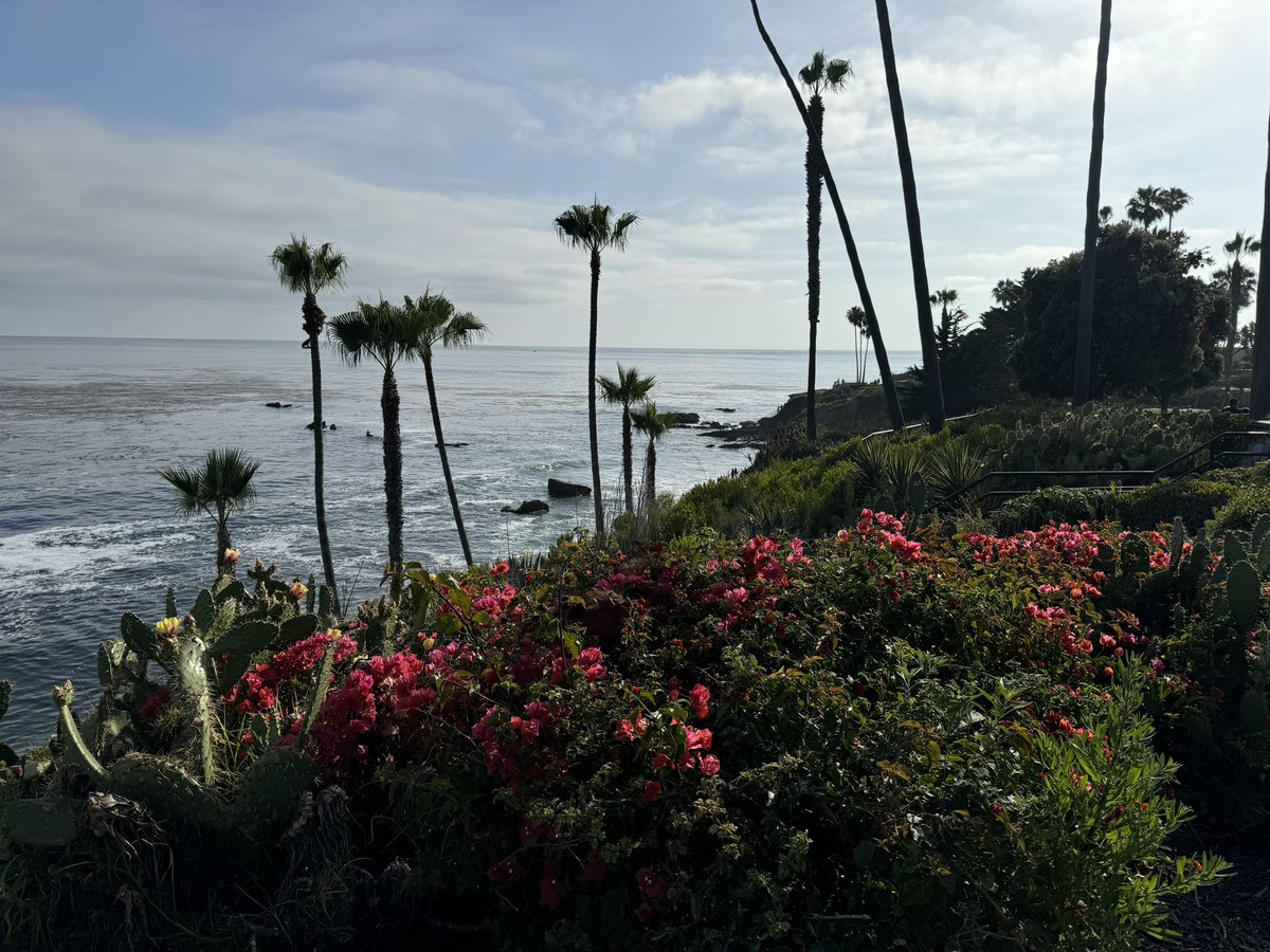 michaeledonner's tweet photo. Finally spectacular weather in #Laguna
#summervibes
#beachlife
#lagunabeach
#eCommerceDigitalCMO
#ChiefMarketingExec
#taketimeforyou
#RefreshAndRecharge https://t.co/LR4HeX6117